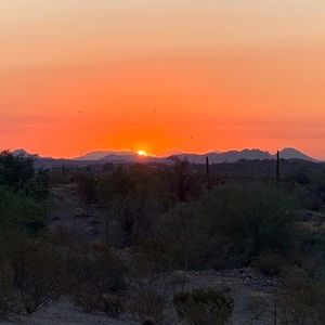 Meet your Posher, Natasha